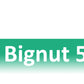 Bignut 5